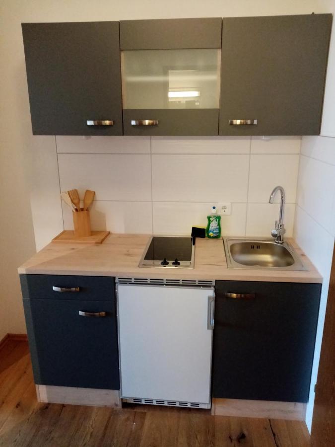 Apartment Diana バート・ゴイーザーン エクステリア 写真