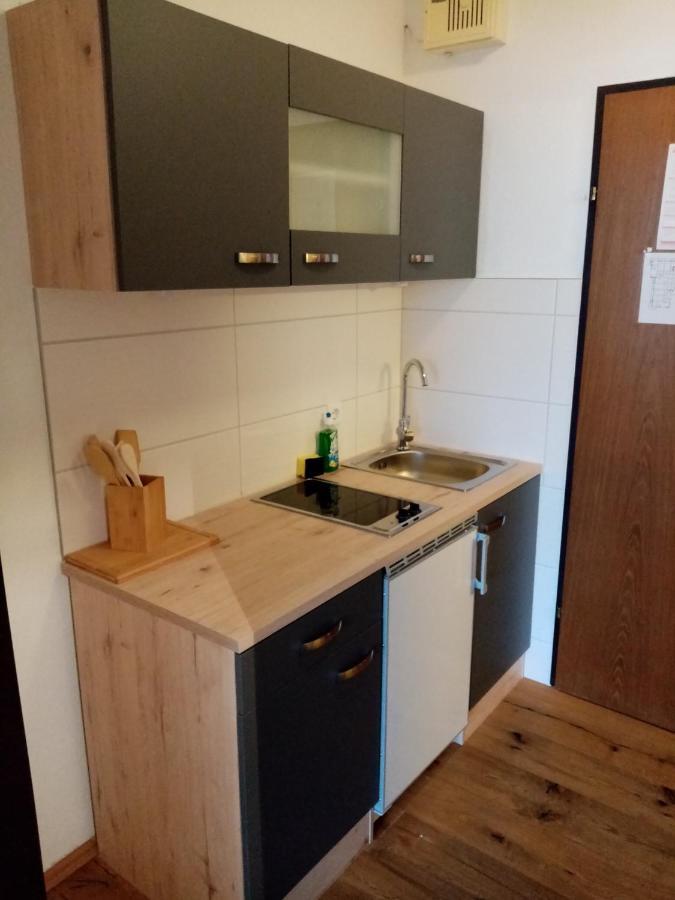 Apartment Diana バート・ゴイーザーン エクステリア 写真
